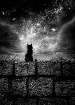 whitesoulblackheart:  Unseen Stars at Night by XKkillz (Please leave credit … Ƹ̴Ӂ̴Ʒ)