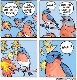 Falseknees:i Feel Like You’re Ignoring My Question About This Leaf