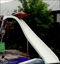 Bacathedr:  Only——Gifs:   Check Me Blog!  