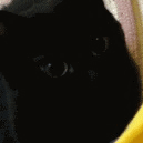 *Me whenever shads posts her gorgeous and breathtaking amethyst pieces*(bobius-julius)oh