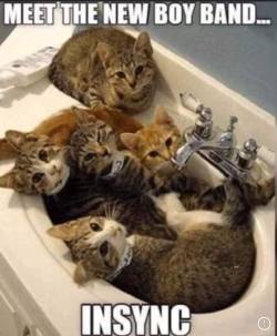 instructor144:this-and-that-plus-kink:Friday funny!🤣🤣