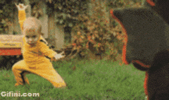 gifini:  Who knows kung fu baby looked very dangerous sport 