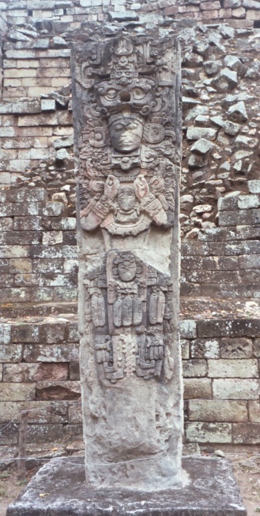 Estela P, Ruinas de Cópan, Honduras, 2000.