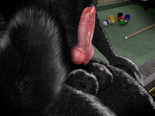 Porn Pics randyyiffystuff:  Horny, knotty canines 