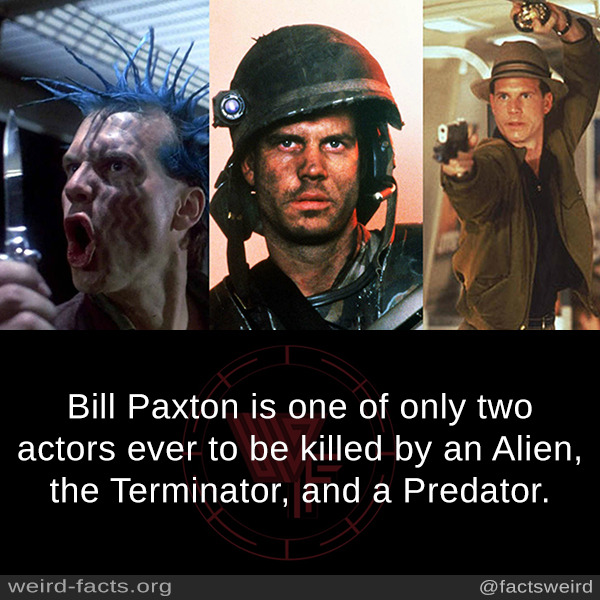 The Only Actor To Be Killed By A Predator, Terminator & Xenomorph