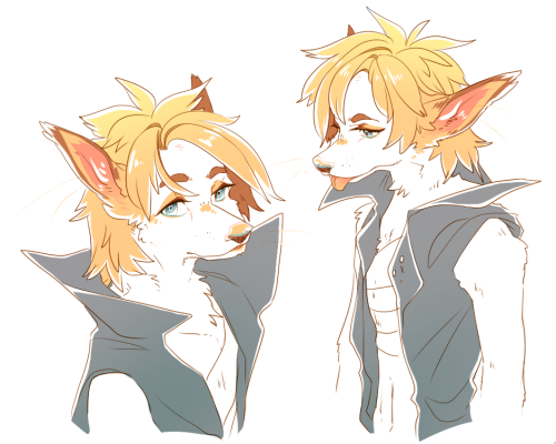 Furry Nouv doodles