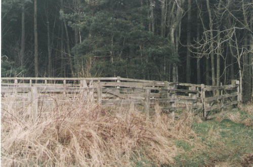 englishsnow:  Scotland by Samantha Nason 