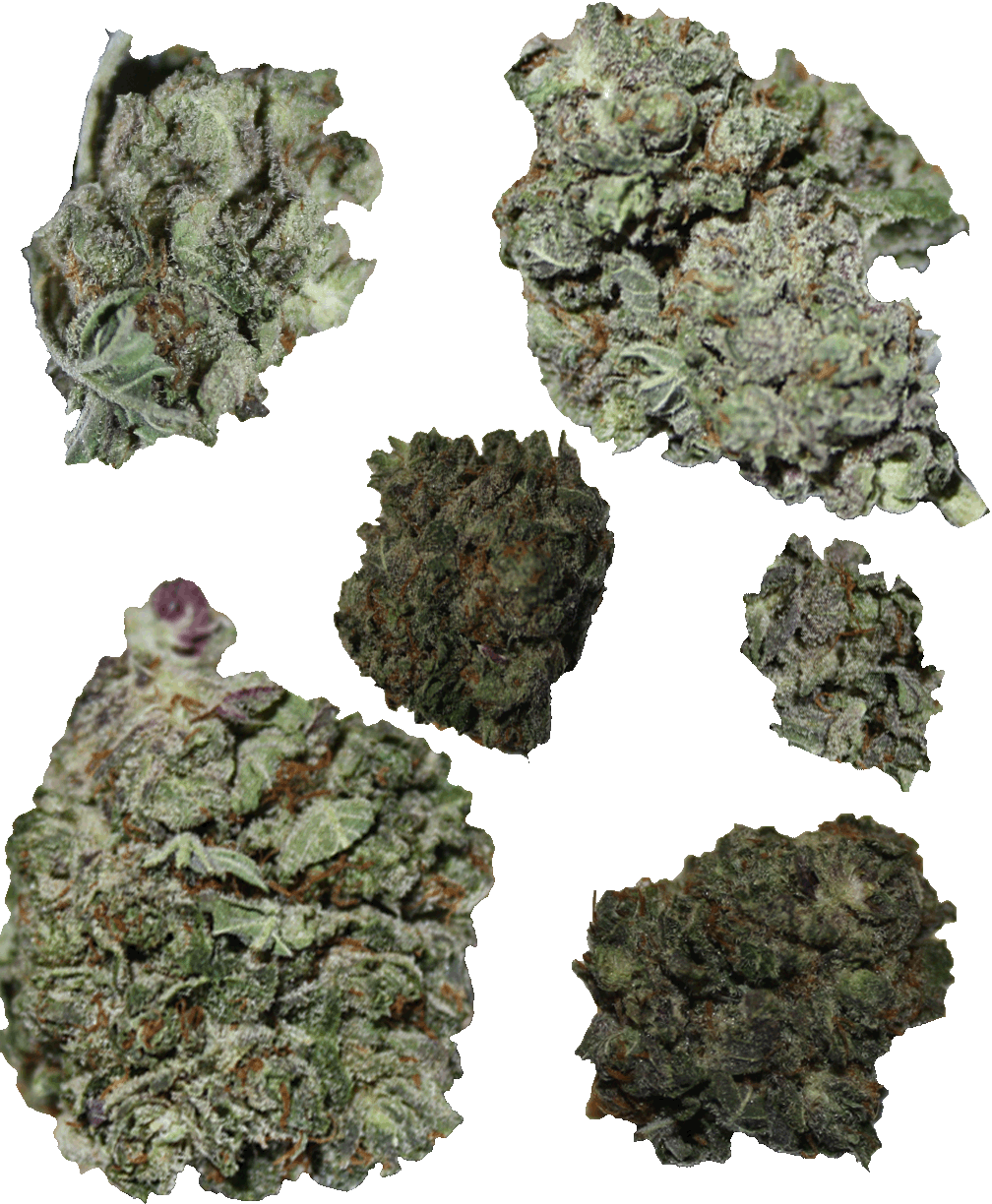 highmackenzie:  Some transparent nugs 