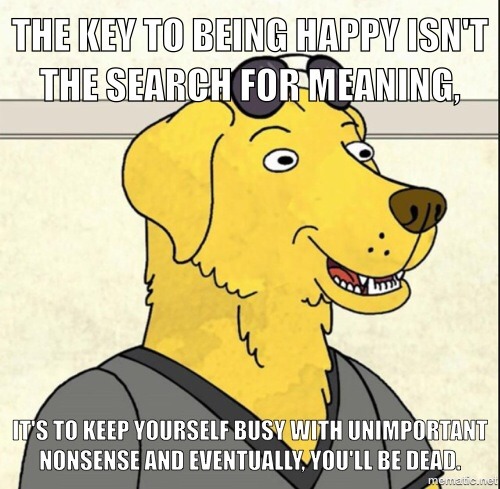 thingsmakemelaughoutloud:  Sometimes it sure feels like it.- Funny and Hilarious