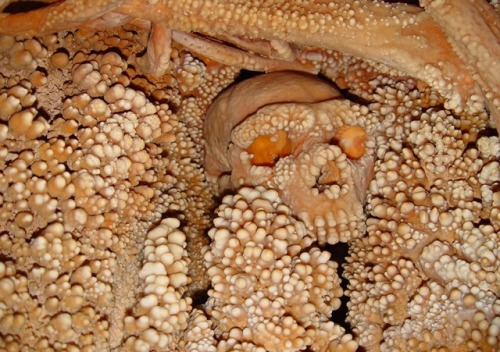 A Crystallised Neanderthal