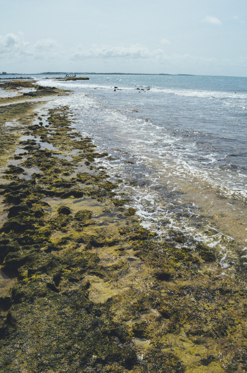 Morrocoy National Park, Venezuela.Photography Blog