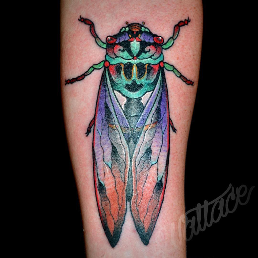 electrictattoos:  raymond-wallace:  Geeked on this fun cicada with the talented @whatbryan.