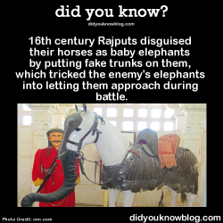 did-you-kno:  16th century Rajputs disguised