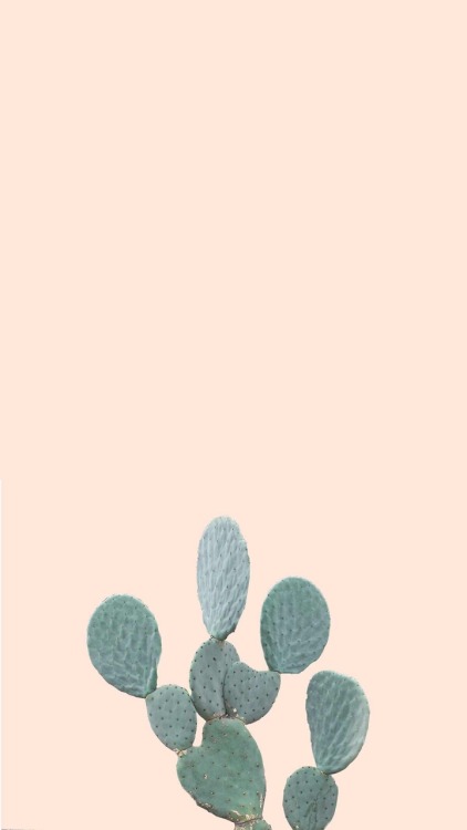 l0ckscreen: cactus  reblog if u save!  used as my desktop wallpaper with a little rearranging!! love