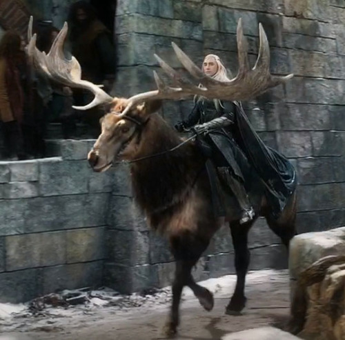 subtleaccordions: Elks vs. Goats.