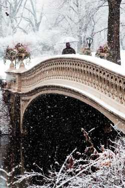 plasmatics:  Walk In The Park | New York