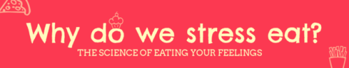 tobeagenius: Why Do We Stress Eat? Whether its exams, work or relationships modern life is pretty st