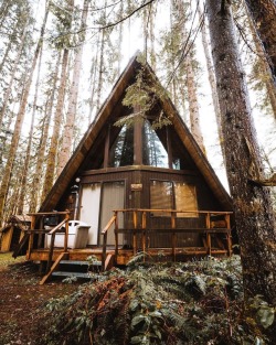 wild-cabins:Ryan Resatka