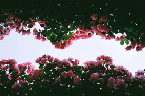 yougotsecretstoo.tumblr.com/post/116030511347/