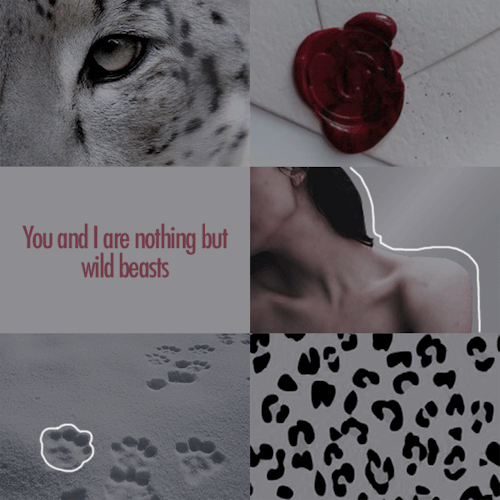 the-suriel:L Y S A N D R A“I will not apoligize to you. I serve her. And I am willing to spend the r