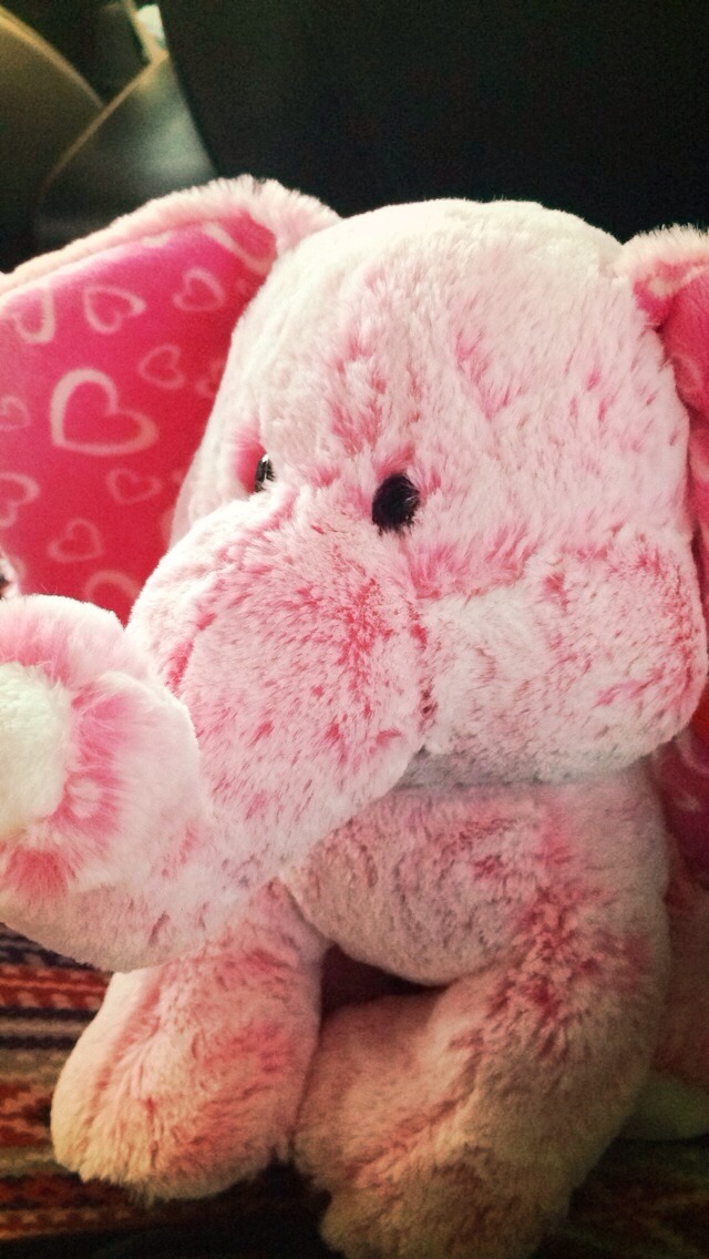 justabloggerbeingme:  All elephants should be pink!