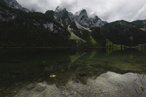 XXX expressions-of-nature:by Nikita Leksikov photo