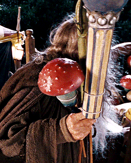 bigfreddieenergy: The Lord of the Rings: The Fellowship of the Ring (2001) dir. Peter Jackson