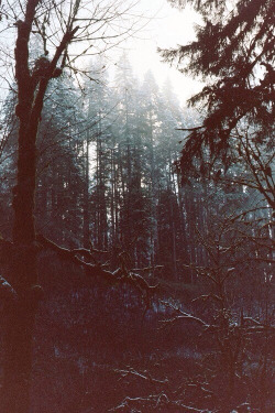 Paradise