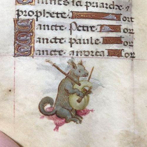 smithsonianlibraries:Caution: monsters in the margins! These little beasts lurk around the text of o