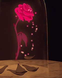 msdisneyprincess:  The rose she had offered