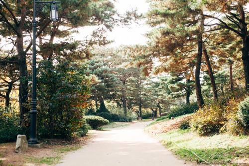 jaydenphotographer:서울 이태원의 가을Itaewon the autumn shooting 