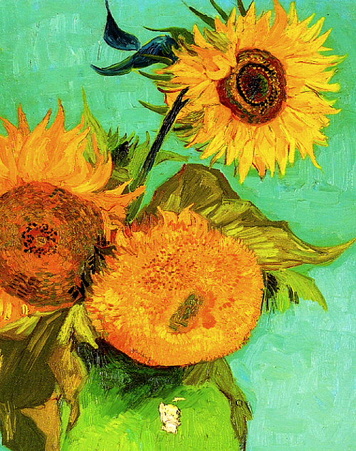lucreziasborgias:  Sunflowers (detail), Vincent Van Gogh.