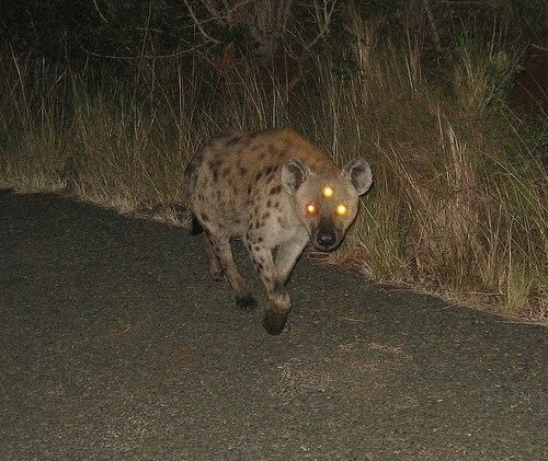 ghostttrain - En tierra, en humo, en polvo, en sombra, en nada