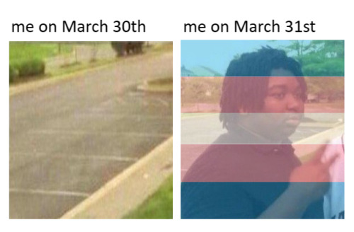 Happy Trans Day Of Visibility Everyone, I Can Now Legally Be Perceived For The Next 24 Hours