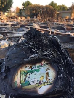 indomitablemegnolia: sixpenceee:  “The last page of a Calvin and Hobbes book found in the ashes of someone’s house after the California fires.” posted by reddit user Dujimon  That is perfect 