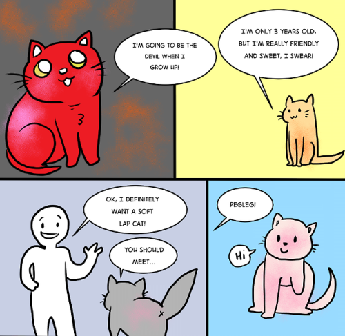 Sex fuunsaiki:  catsof100days:  transdimensionalboundaries: pictures