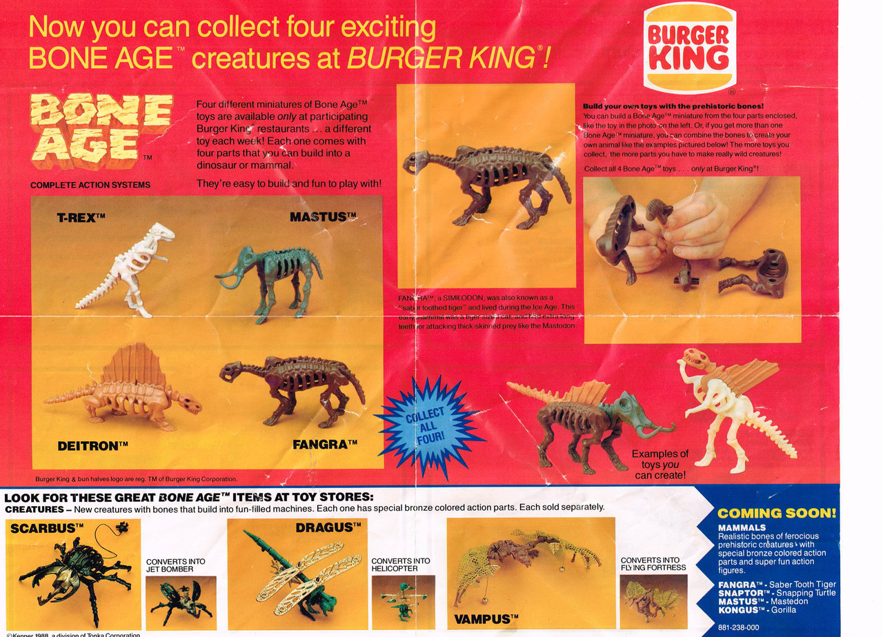 kenner bone age