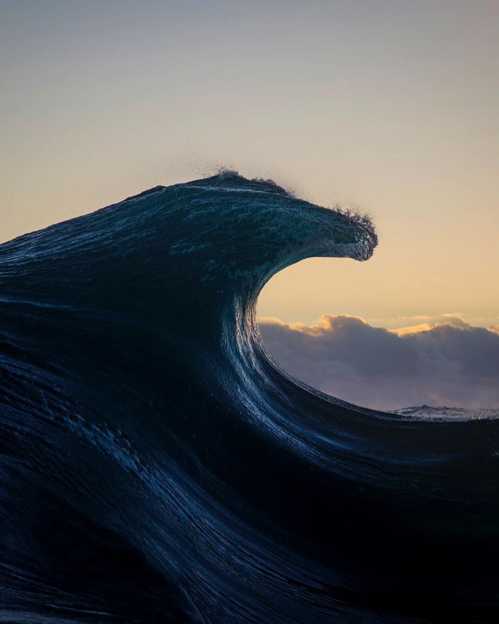 sosuperawesome:  Ray Collins on InstagramFollow So Super Awesome on Instagram 