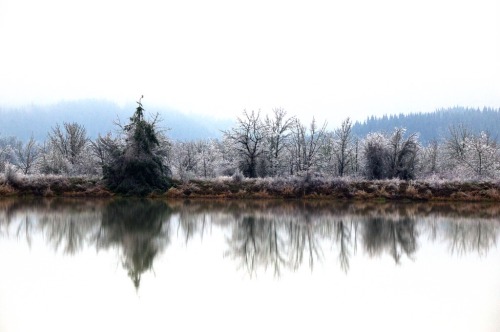russell-tomlin:Across a Pond to Winter Ice