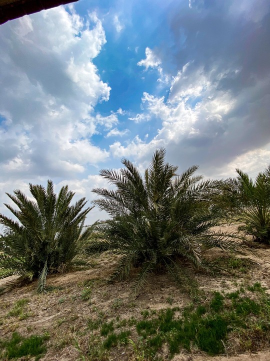 متوسط درجة الحرارة في شهر مارس لمدينة الرياض هو ٢١°س. ودرجة الحرارة الفعلية في شهر مارس لمدينة الرياض قد تكون أكثر من ذلك، أو أقل بمقدار ٥°س تقريبا.