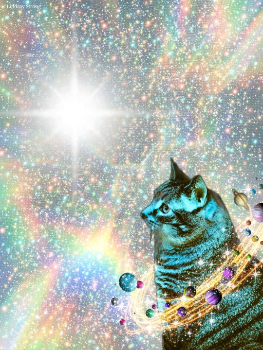 galaxy cat background tumblr