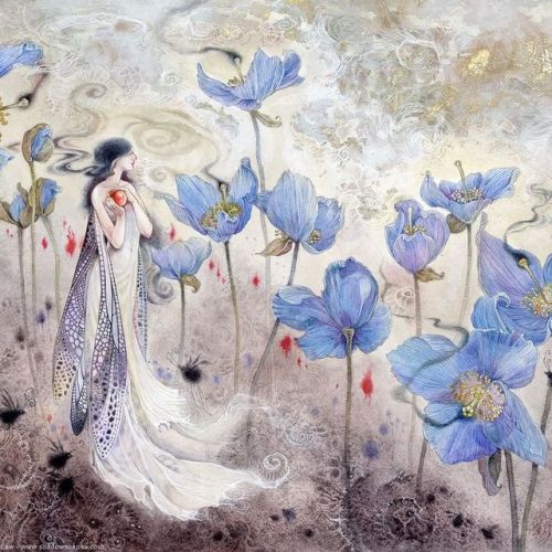 shadowscapes-stephlaw:“Descants”#bluepoppies #dream #beautiful #daydreaming #fantastical