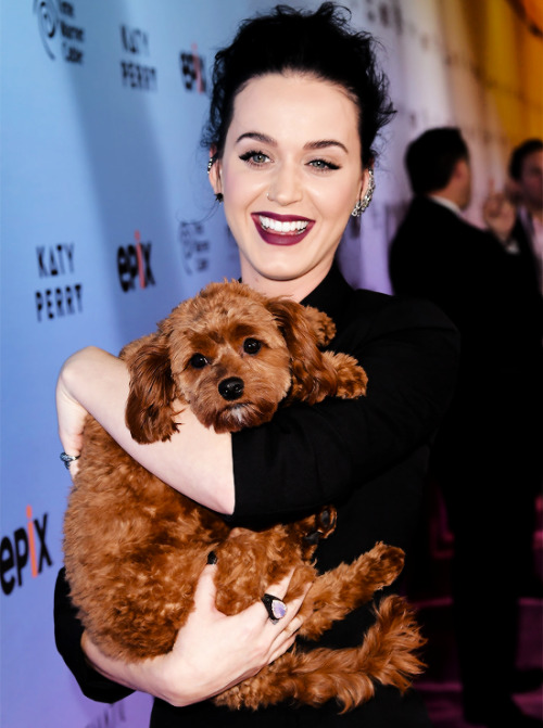 Porn Pics iheartkatyperry: at the screening of EPIX’s