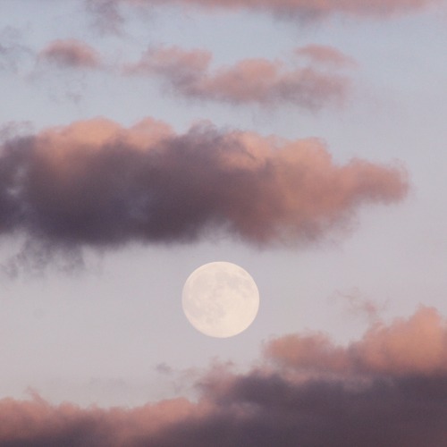 the-soul-tribe: prophesie: I love the moon so much ✧ ॐ ❂ ☼ love and light ☼ ❂ ॐ ✧