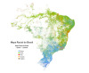 Precise racial map of Brazil.
[[MORE]] Pertyew:
This is a precise racial map of Brazil. From top to botton, the caption says: White (Branco), brown (pardo), black (preto), yellow (amarelo), and native (indígena).
This map is also useful to see a more...