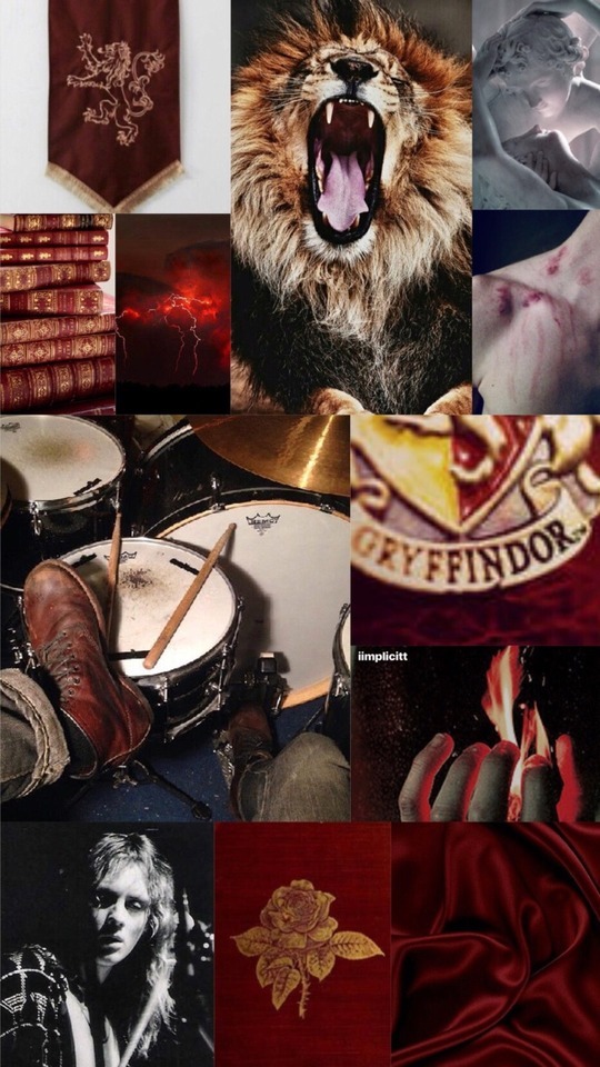 Roger Taylor//Gryffindor