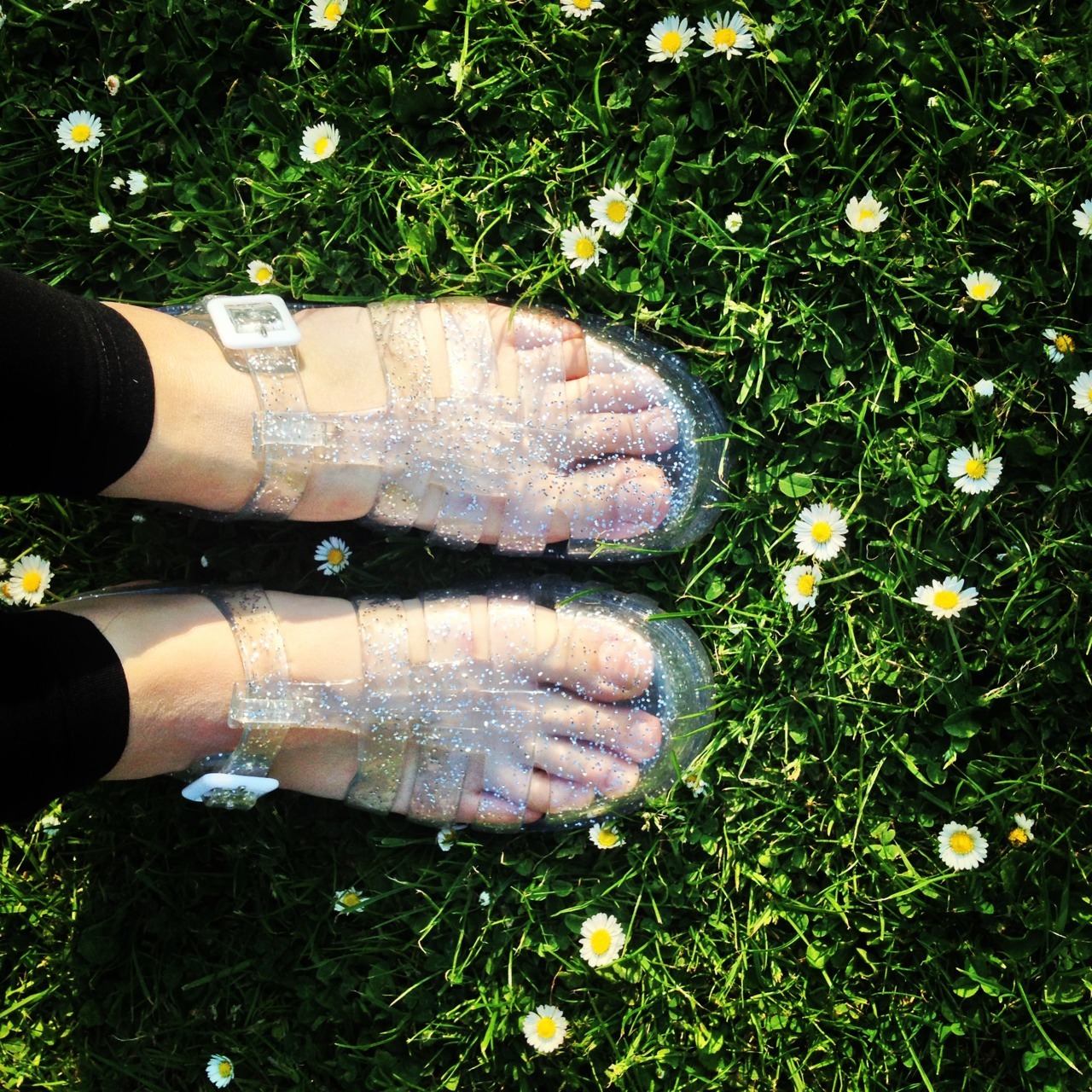 (JuJu Jellies.)