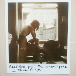 :  Polaroid #46 