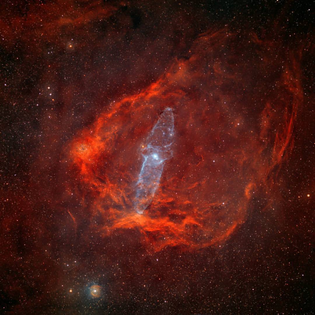 A Giant Squid in the Flying Bat #nasa  #apod #nebulae #nebula #giantsquid #Ou4 #Sh-129