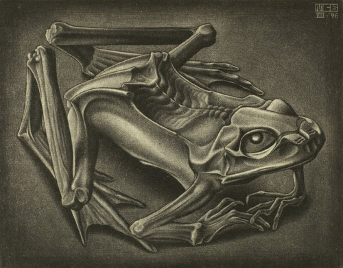 the-cinder-fields: M.C. Escher,  Mummified Frog, 1946